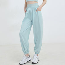 Load image into Gallery viewer, Genius Fit Jogger