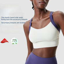 Load image into Gallery viewer, Apexcore Sport Bra
